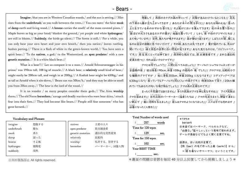 上級レベルサンプル